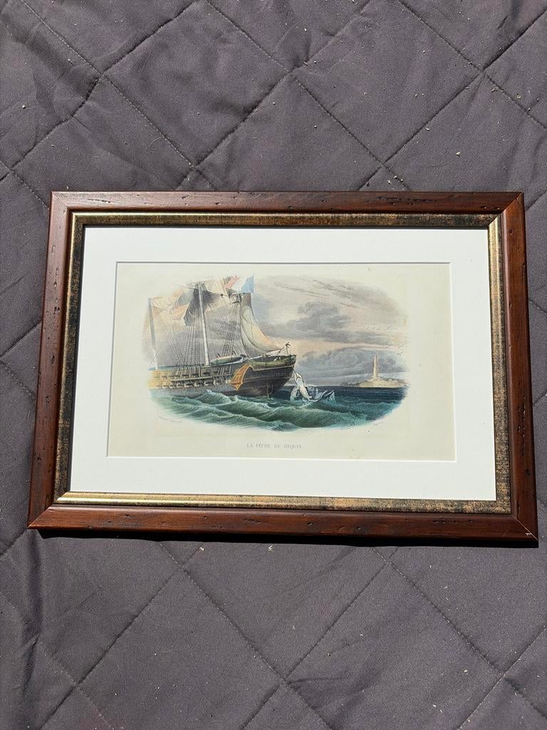 Antieke gravure 'Haaienvangst - Jacht op haaien' (ca. 1850), Handgekleurd, 1800 - 1899, Ophalen of Verzenden, Gravure