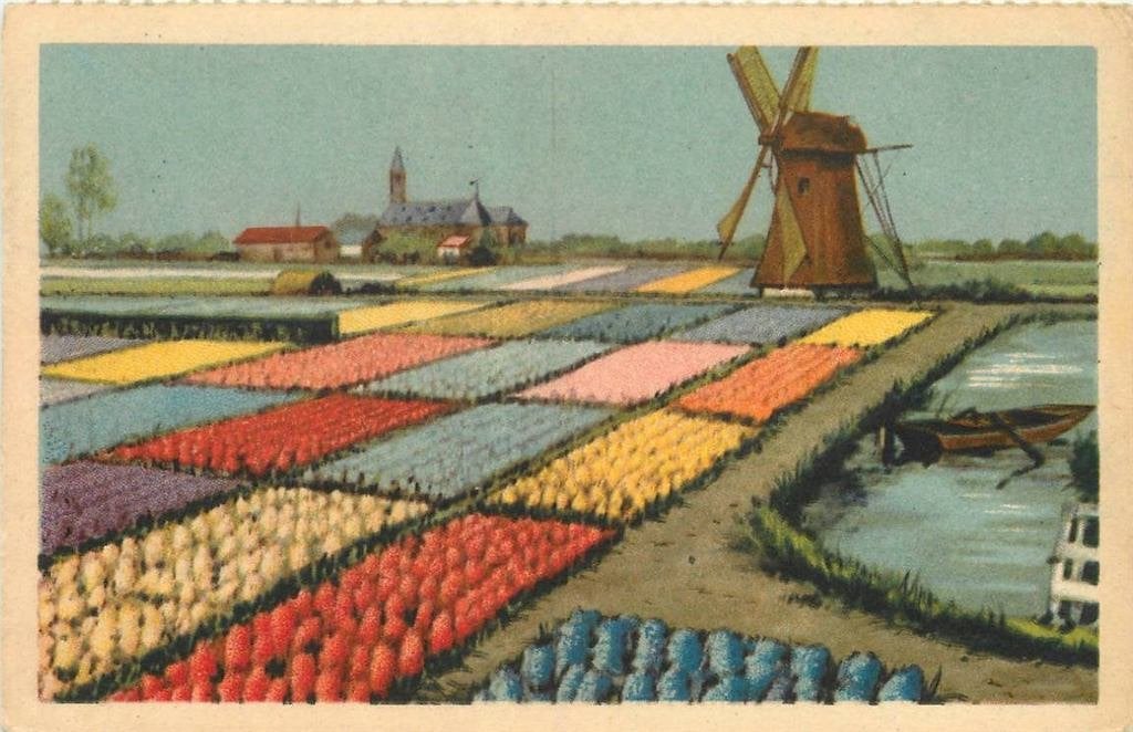 388-165-053 Nederland Bloembollenvelden, Verzenden, Voor 1920