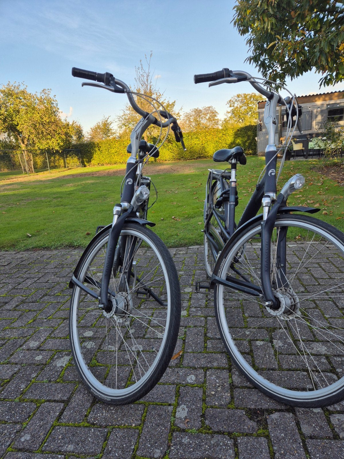 Batavus fietsen Dames en Heren, Ophalen, Minder dan 10 versnellingen, Velgrem, Batavus