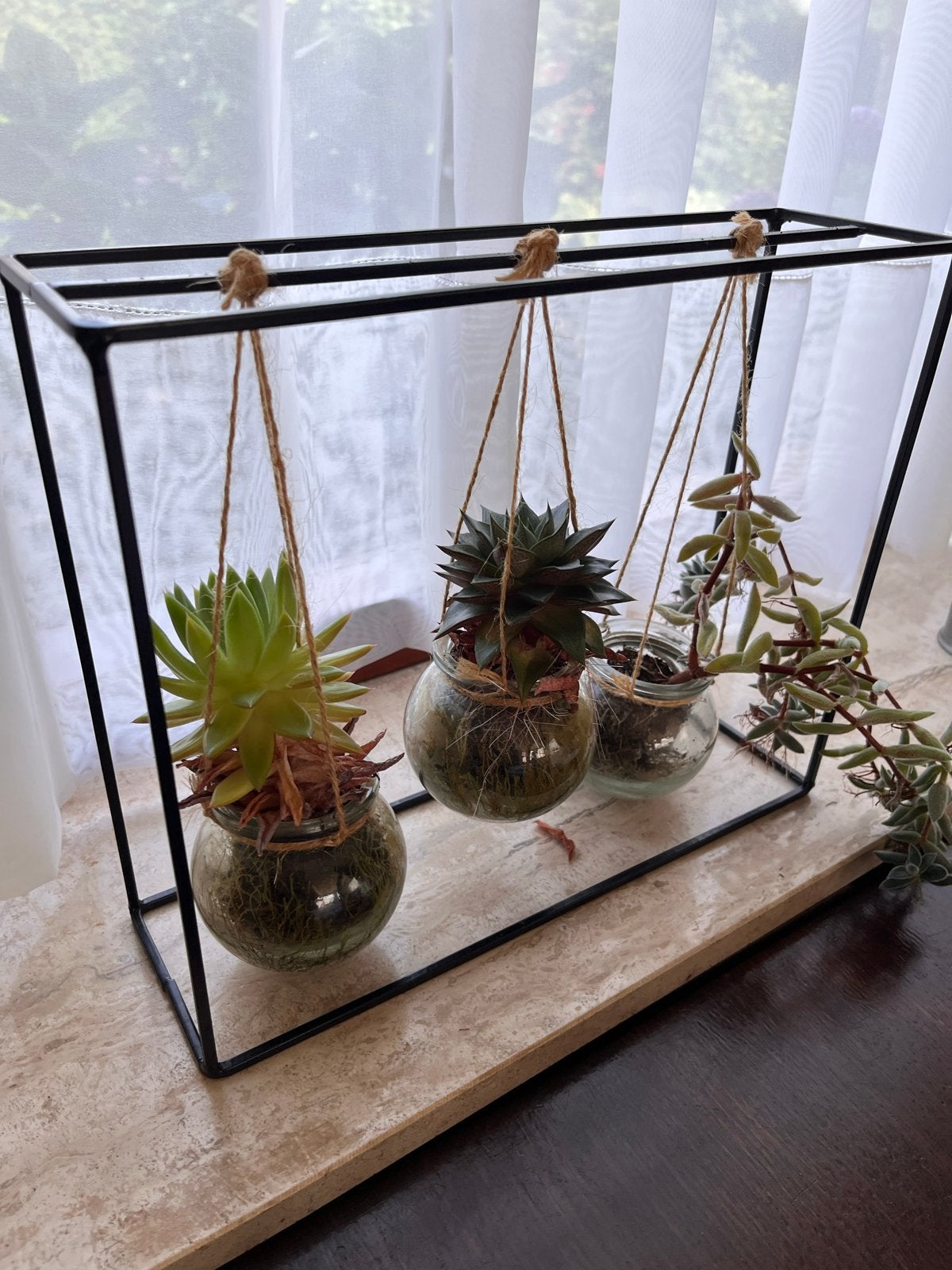 Decoratieve plantenhouder met hangende vetplantjes, Huis en Inrichting, Ophalen, Gebruikt, Zwart, Metaal