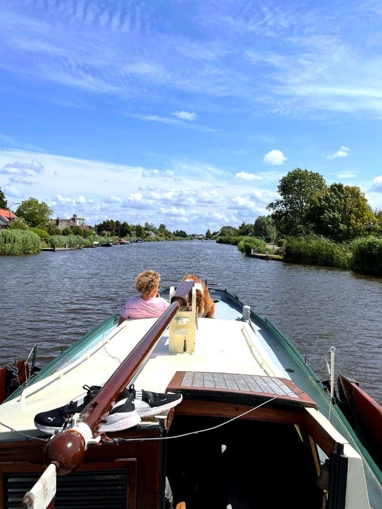 Huitema Zeeschouw 7,20 m (1965) /Yanmar 10 PK Diesel, Watersport en Boten, Ophalen, Gebruikt, Staal, Binnenboordmotor