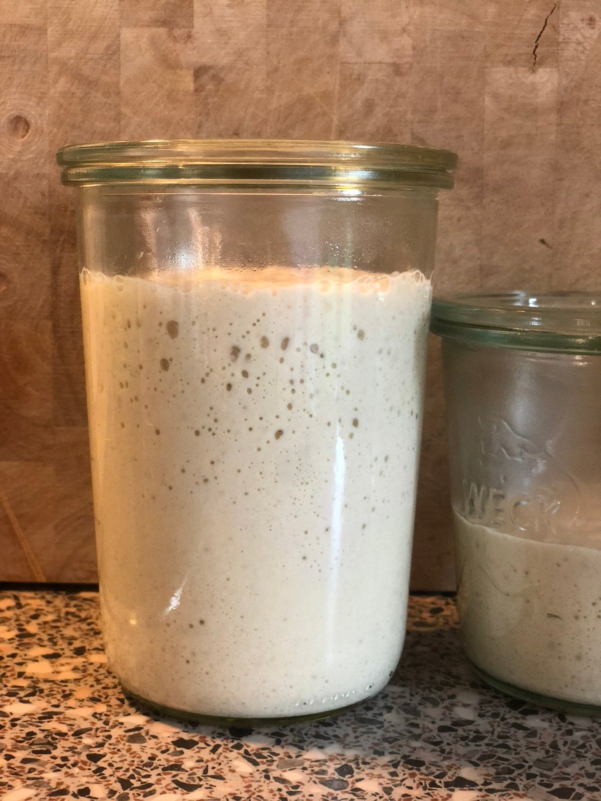 Zuurdesem starter, Ophalen