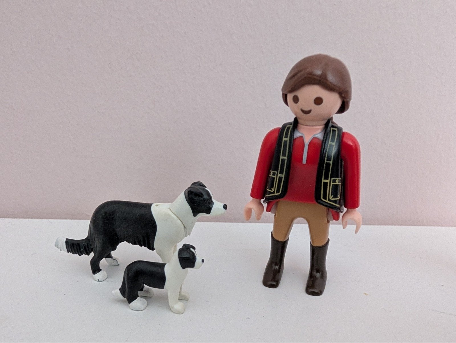 Playmobil hond Border Collie met baasje, Ophalen of Verzenden, Zo goed als nieuw, Complete set, Figuren