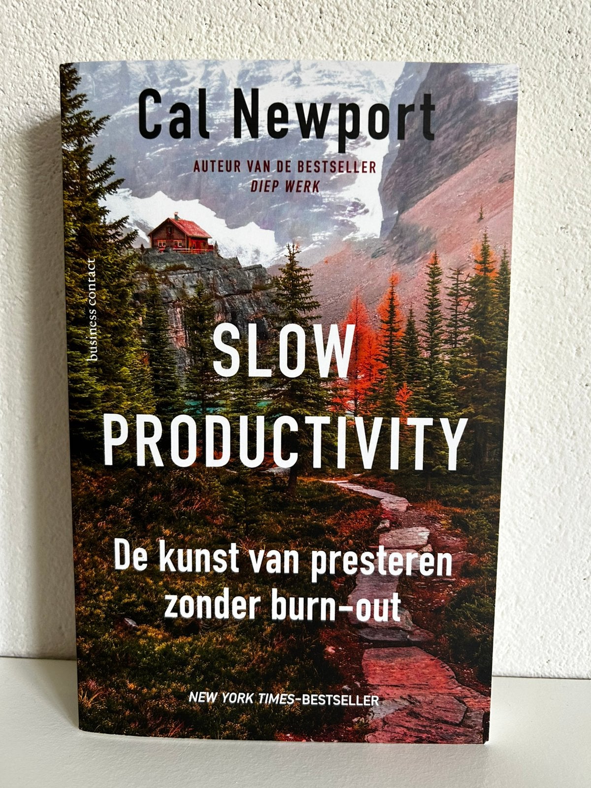 Cal Newport - Slow productivity, Ophalen of Verzenden, Zo goed als nieuw, Cal Newport