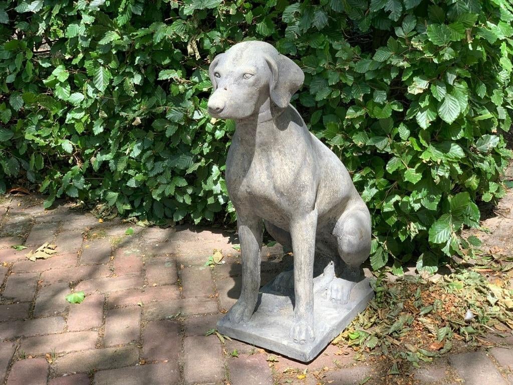 Exclusieve dieren Tuinornamenten, Ophalen of Verzenden, Nieuw, Steen, Dierenbeeld