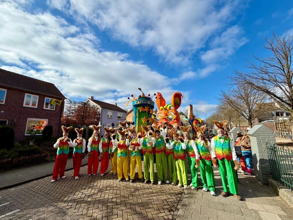 Carnaval kleding kostuum 16 stuks konijn accessoires, Ophalen of Verzenden, Zo goed als nieuw, Overige maten