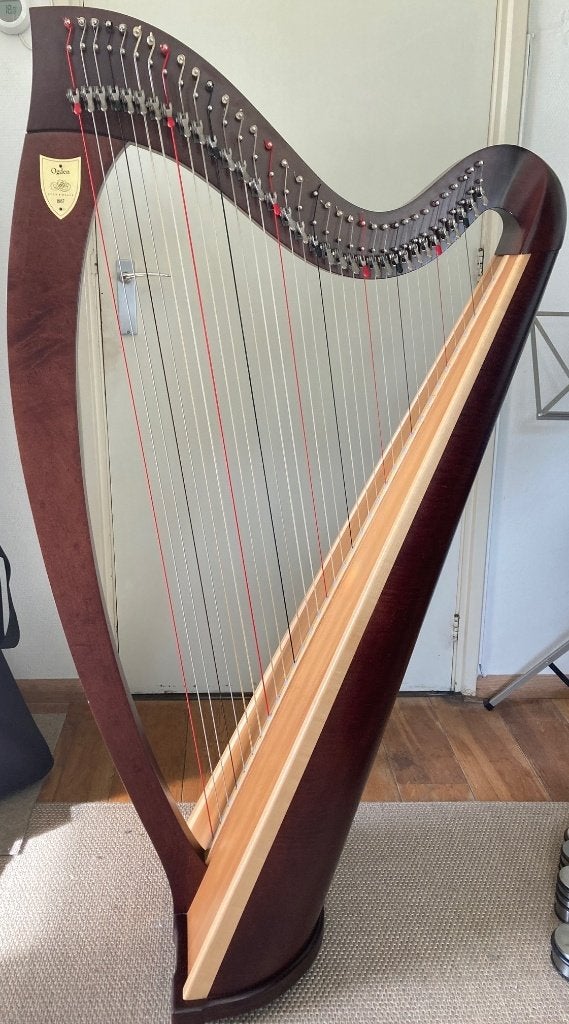 Te koop: Lyon & Healy Ogden harp 34 snaren met transporthoes, Muziek en Instrumenten, Ophalen, Zo goed als nieuw