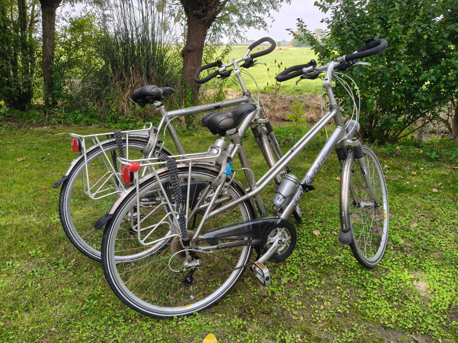 2x Giant Lichtgewicht Fietsen (Heren & Dames) - Zilver, Ophalen, Velgrem, Versnellingen, Giant