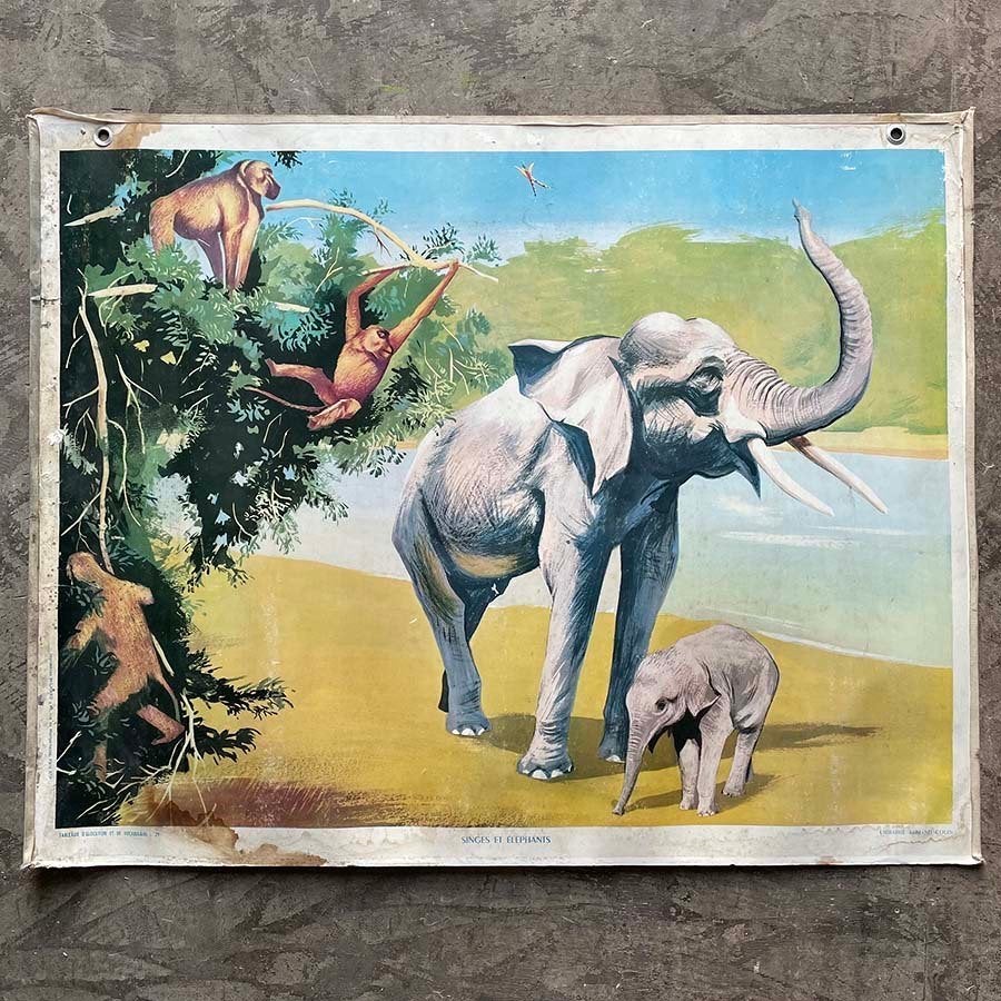 4 vintage jaren 60 canvas wandkaarten, Ophalen of Verzenden