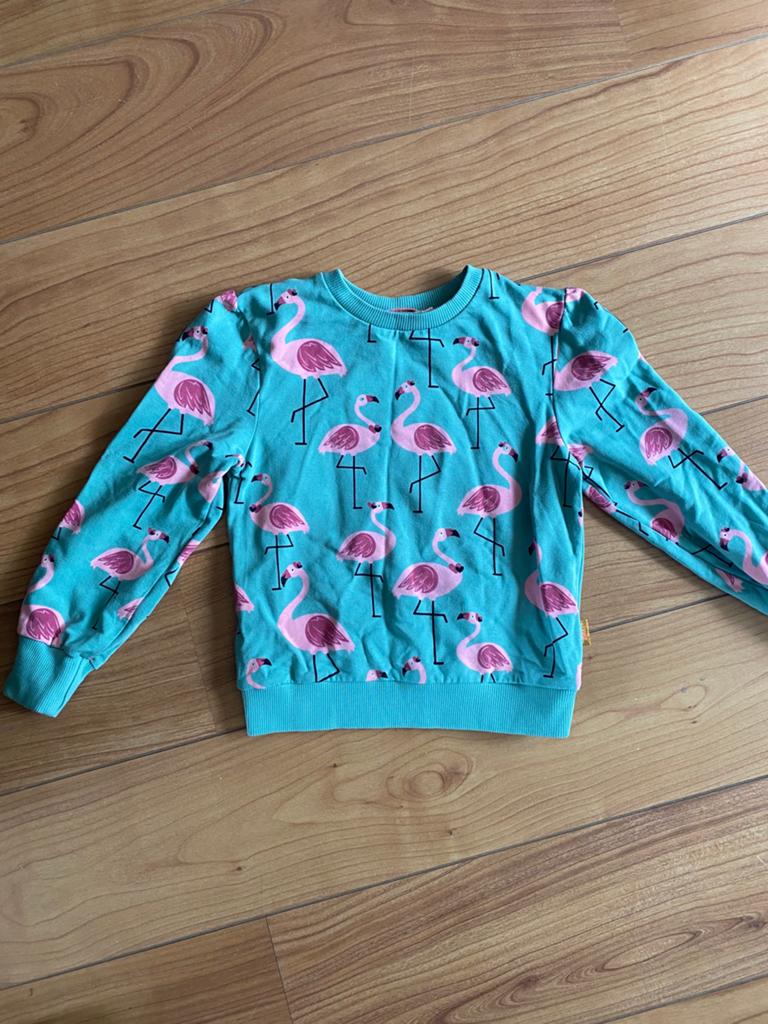 Leuke trui met flamingo's voor kinderen, Ophalen of Verzenden, Zo goed als nieuw, Meisje