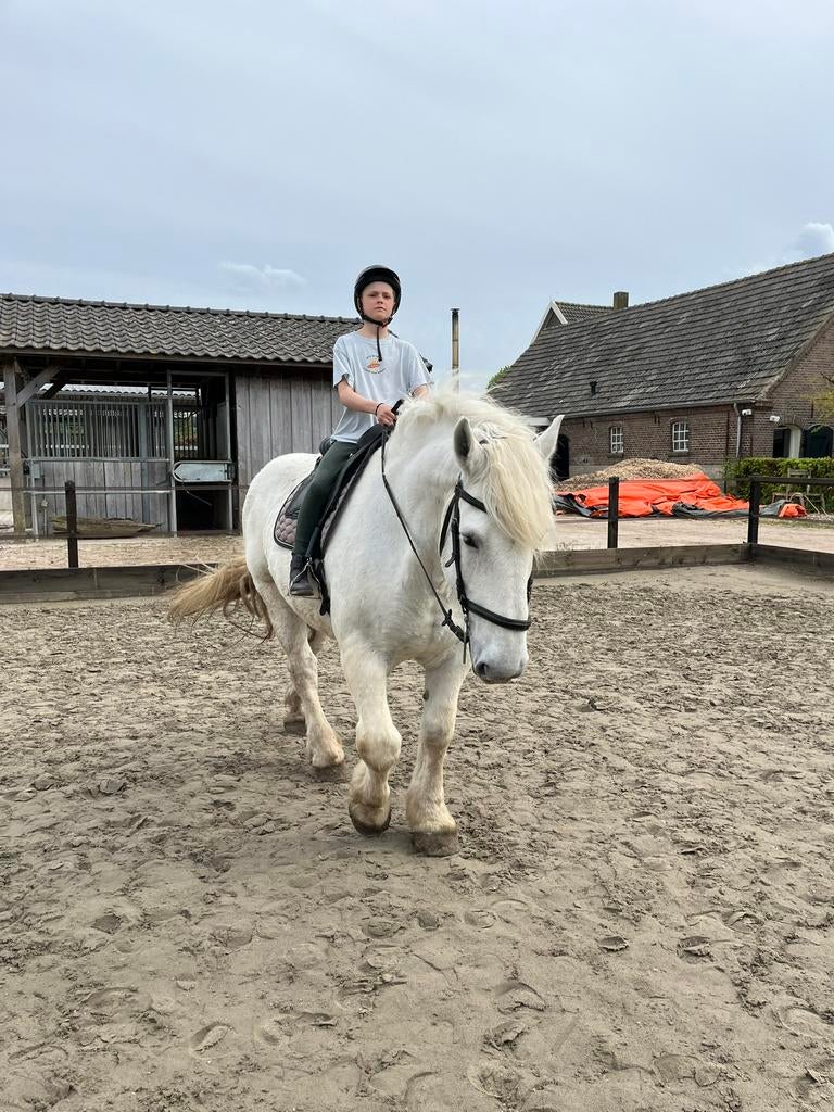 Paardrijles, groepsles, lease, Paardrijles of Ponykampen