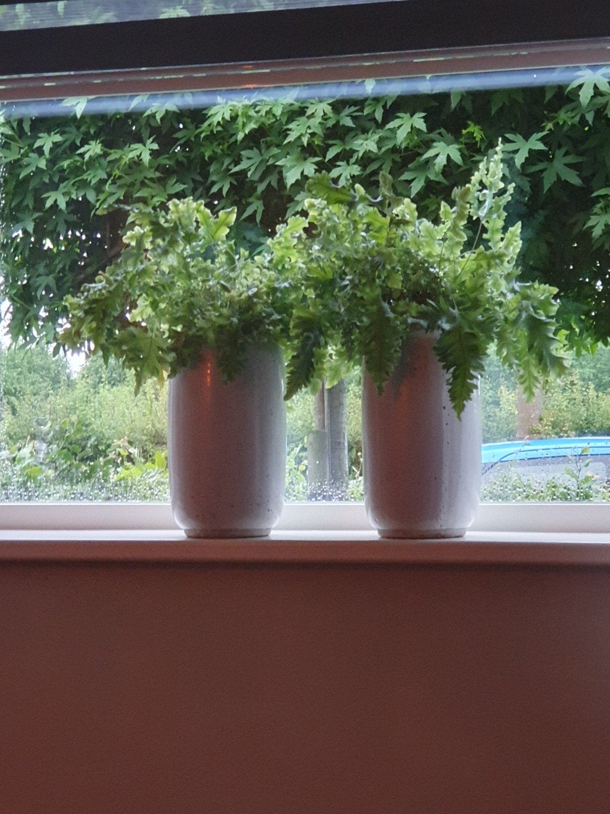 Set van 2 Witte Keramische Vazen met Planten, Ophalen, Gebruikt, 50 tot 75 cm, Wit