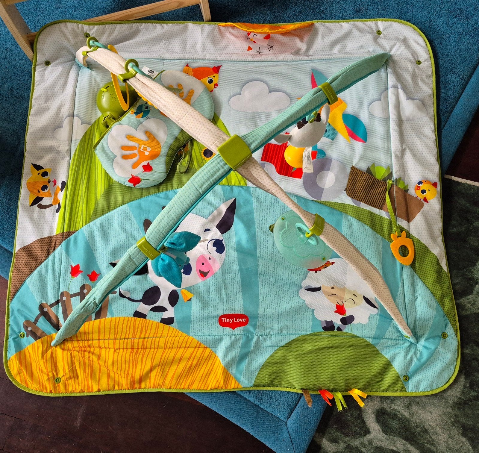 Mooie speelkleed van tiny love, Ophalen, Zo goed als nieuw