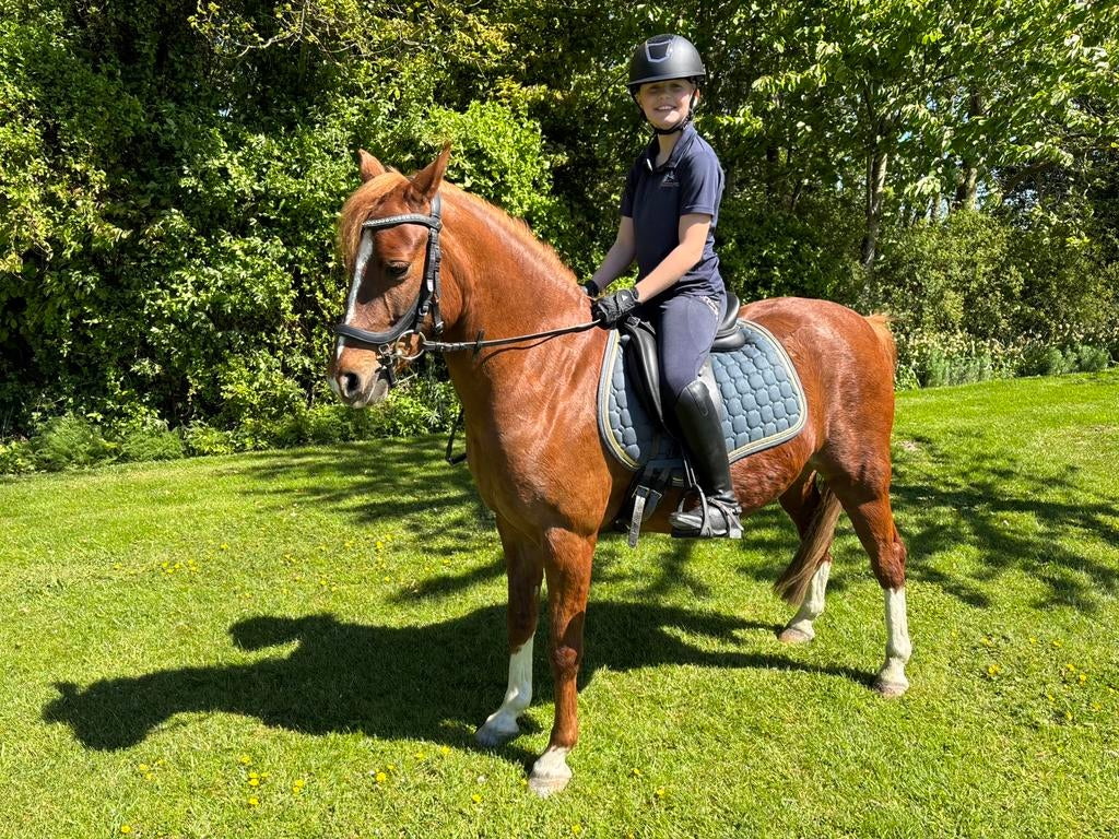 5 jarige C pony, Dieren en Toebehoren, Pony's, Gechipt, Ruin, Zadelmak, 3 tot 6 jaar
