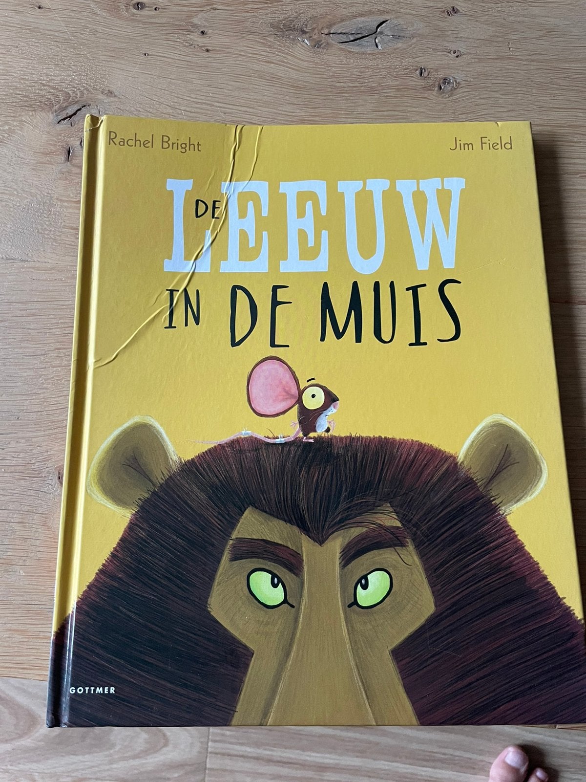 Rachel Bright - De leeuw in de muis, Ophalen of Verzenden, Zo goed als nieuw, Rachel Bright, Prentenboek