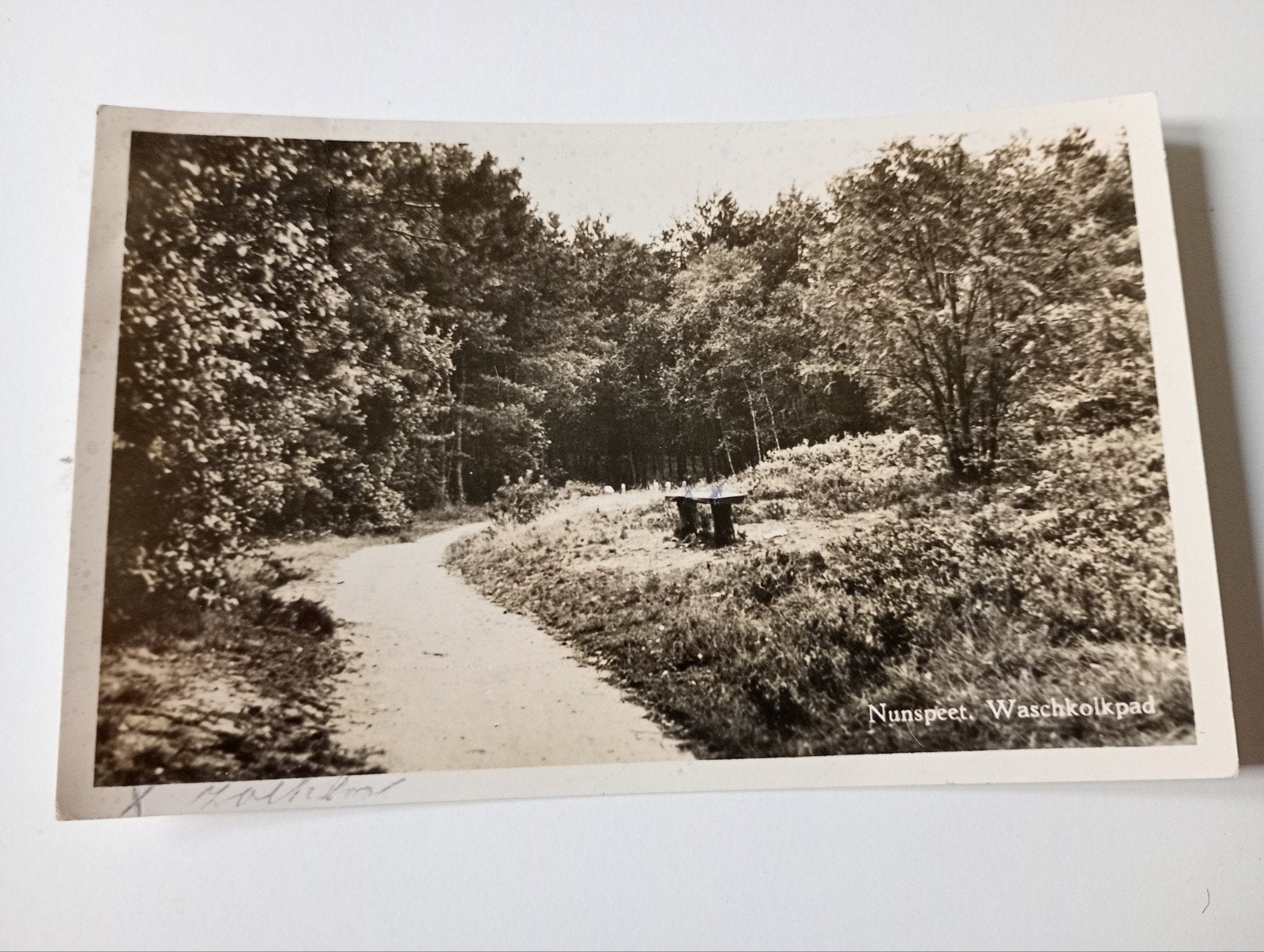 Nunspeet Waschkolkpad 1954, Ophalen of Verzenden, 1940 tot 1960, Gelopen, Gelderland