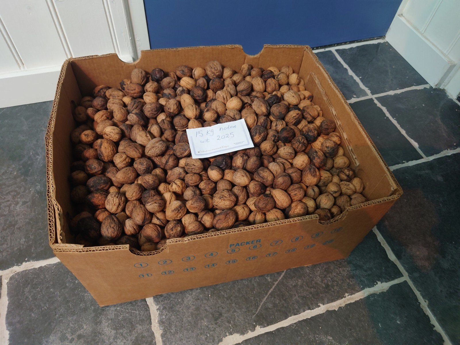 15 kg gedroogde walnoten uit 2025 in bananendoos!, Diversen, Ophalen of Verzenden
