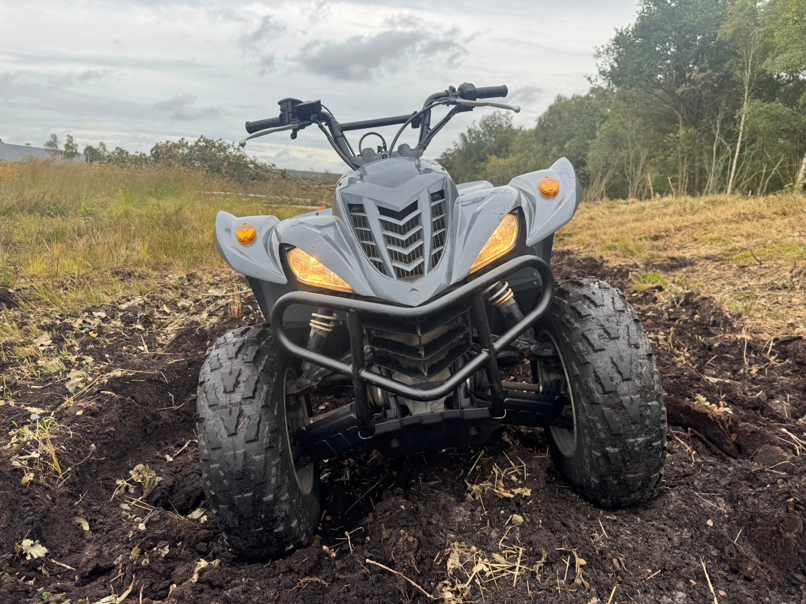 Yamaha wolverine 450 4x4 quad grizzly kodiak, Motoren