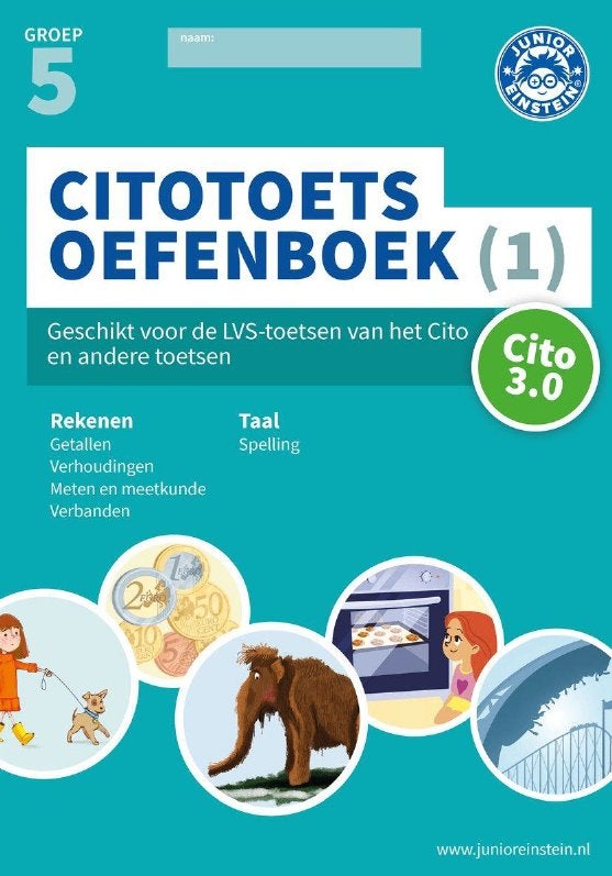 Citotoets oefenboek 1 (groep 5), Ophalen, Zo goed als nieuw, Overige niveaus, Nederlands