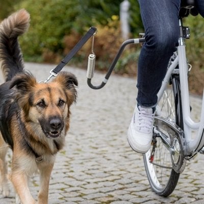 Hondenfietsbeugel voor veilig fietsen met uw hond, Ophalen of Verzenden, Zo goed als nieuw