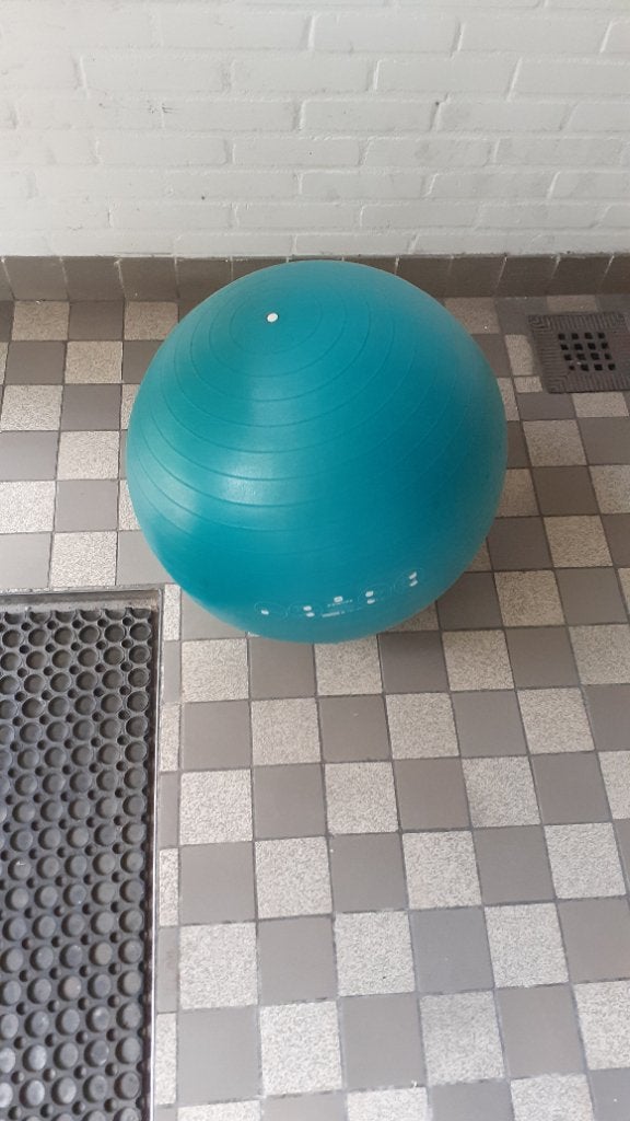 Fitnessbal, Ophalen, Zo goed als nieuw, Fitnessbal