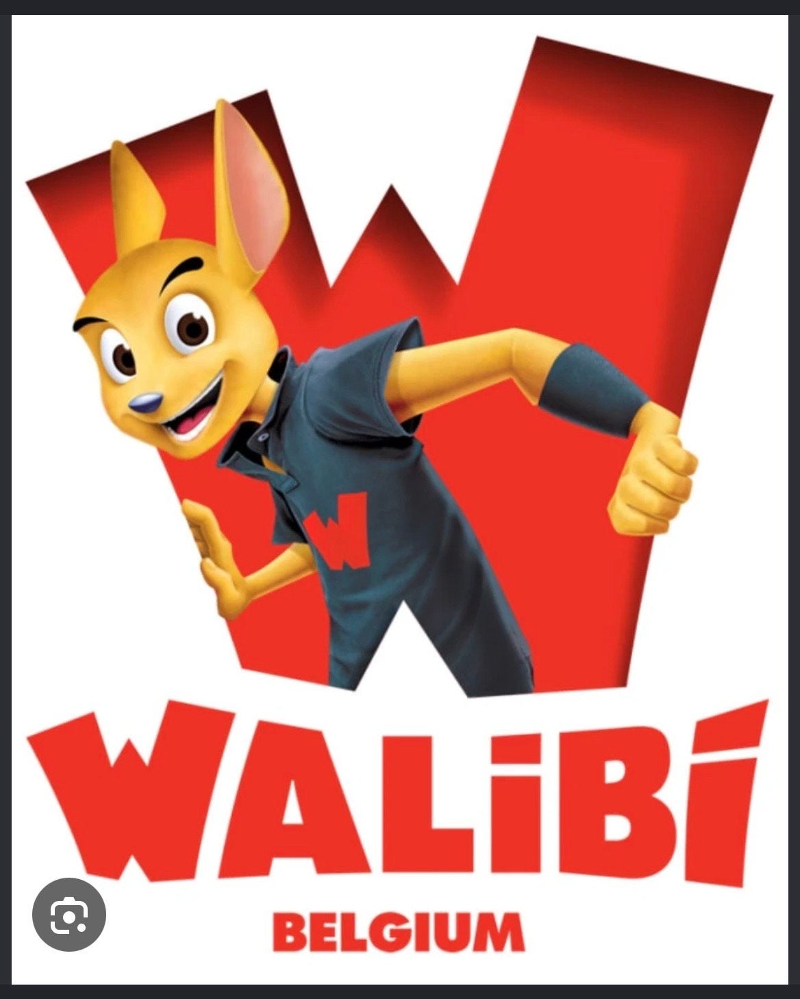 2 tickets walibi belgie geldig tm 2-10-2026