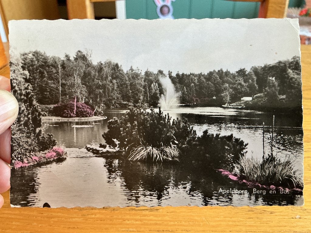 Apeldoorn berg en bos, Verzenden, 1940 tot 1960, Gelopen, Gelderland