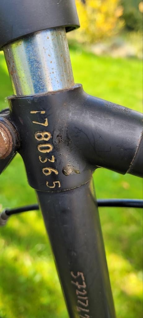 Gazelle  sport oldtimer, Ophalen, Gebruikt, Velgrem, 57 tot 61 cm