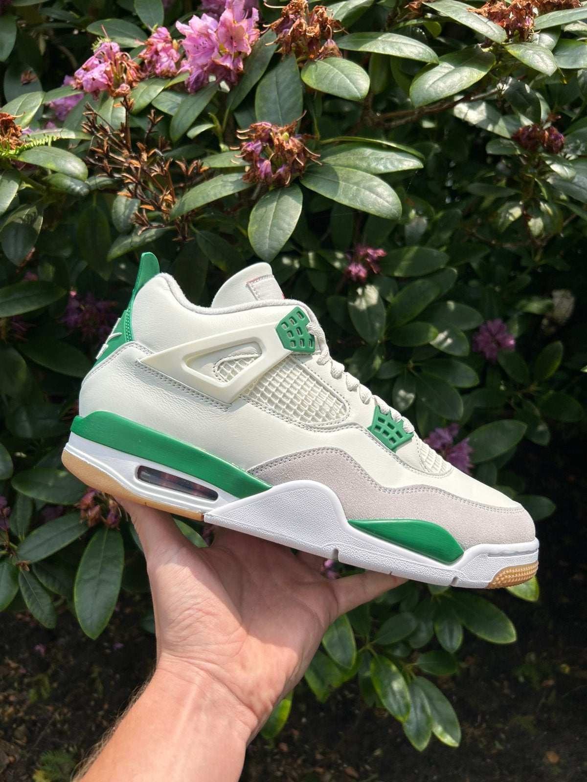 Jordan 4 SB Pine green 45, Kleding | Heren, Schoenen, Wit, Nieuw, Ophalen of Verzenden, Sneakers of Gympen