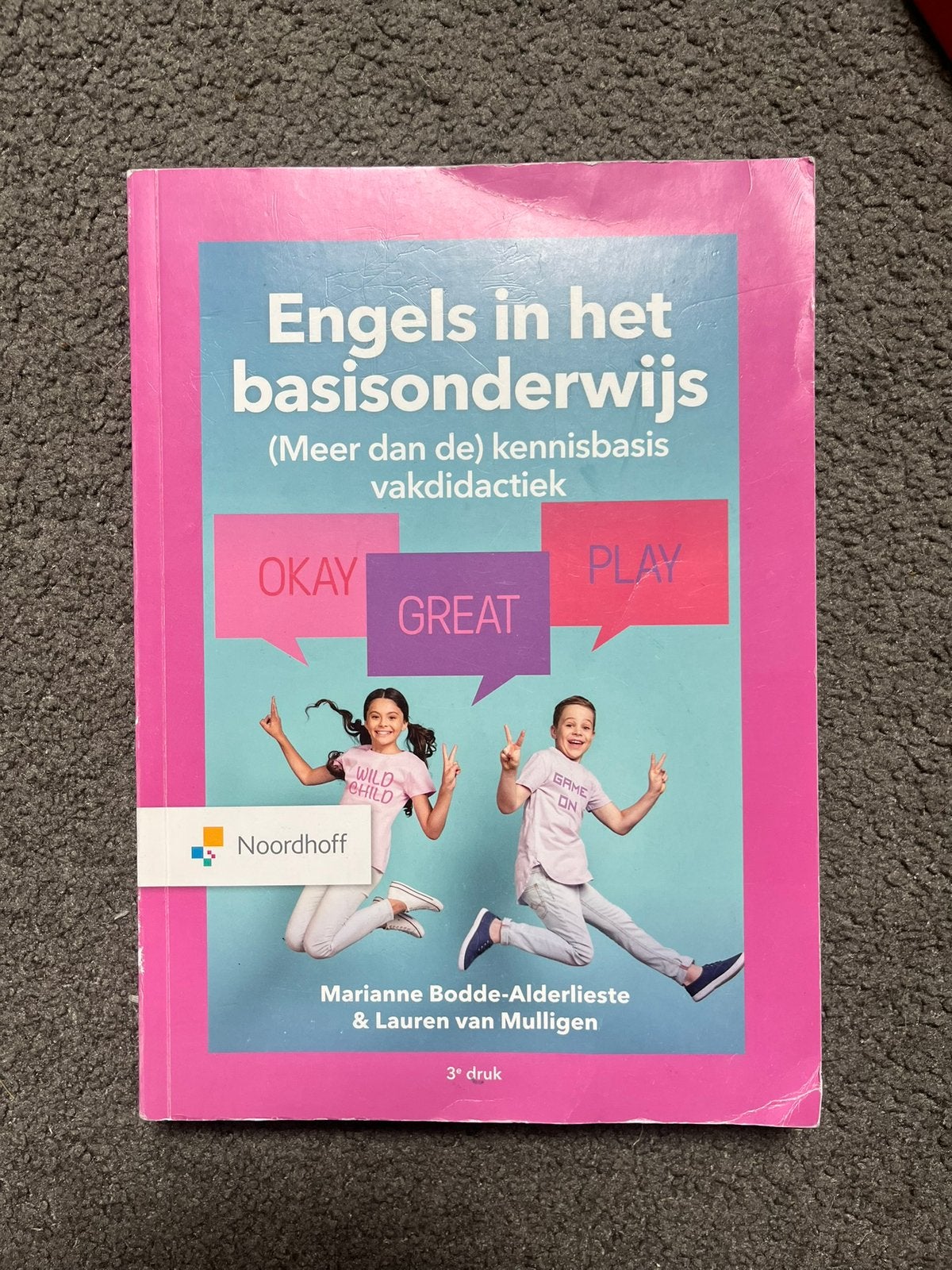 Engels in het basisonderwijs, Boeken, Studieboeken en Cursussen, Ophalen of Verzenden, Gamma, Zo goed als nieuw, HBO