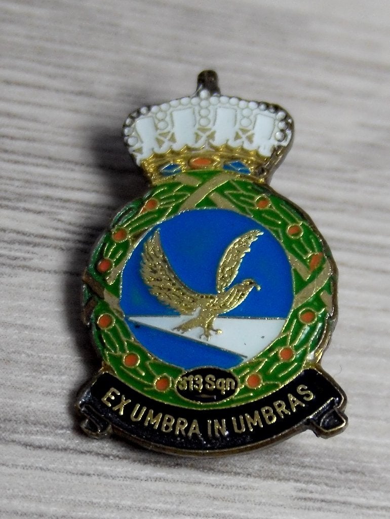 Kroon speldje Koninklijke Luchtmacht 313 Squadron, Verzenden, Luchtmacht, Nederland, Embleem of Badge