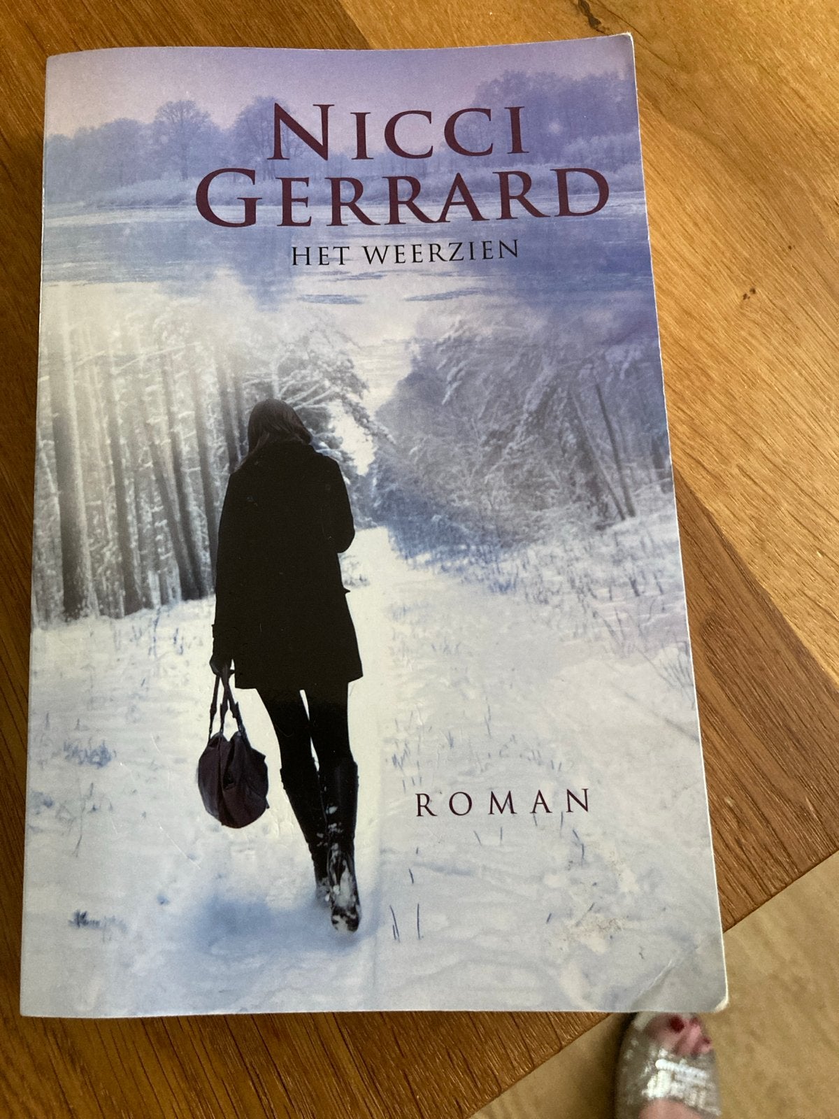 Nicci Gerrard - Het Weerzien (Roman), Boeken, Ophalen of Verzenden, Gelezen, Europa overig