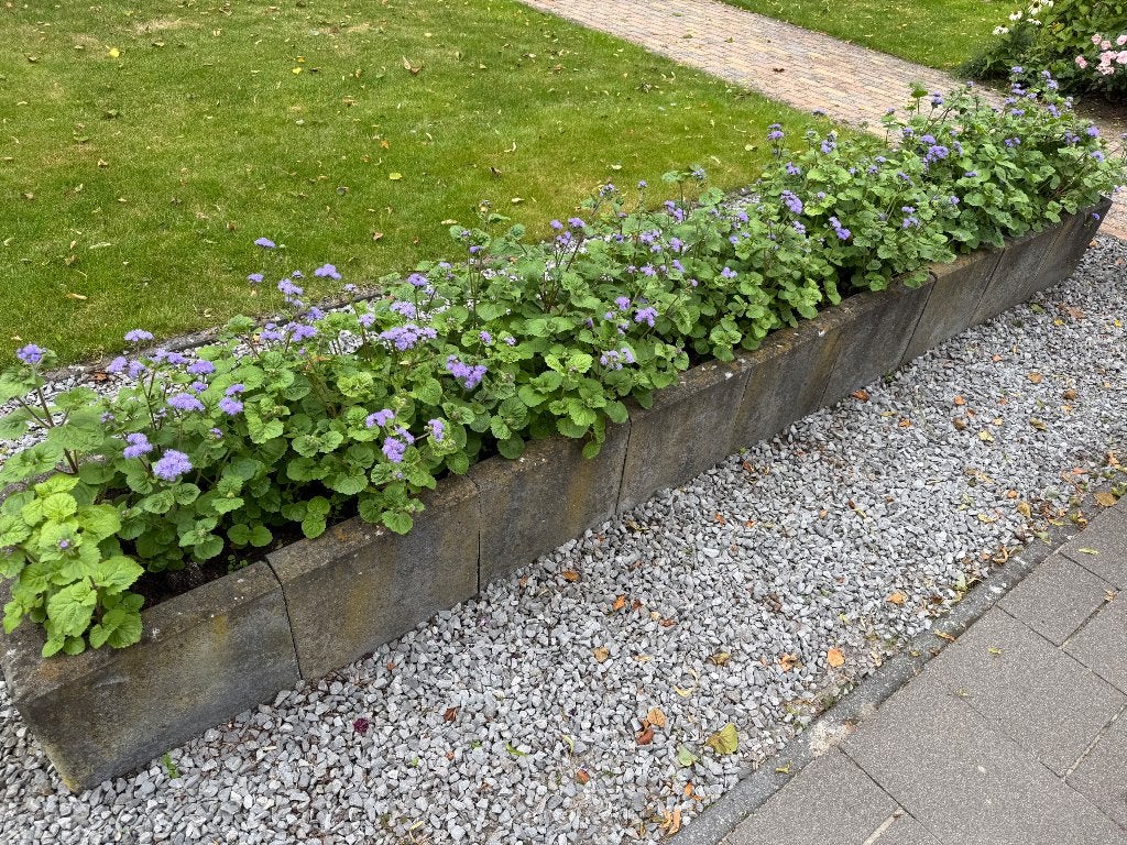 Betonnen u element, Tuin en Terras, Bloembakken en Plantenbakken, Ophalen, Gebruikt, Beton, Rechthoekig
