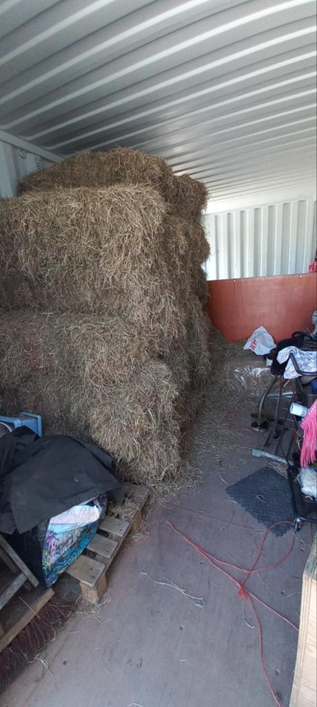 Hooi kleine baaltjes, vijfhuizen, Dieren en Toebehoren, Ophalen, Vee