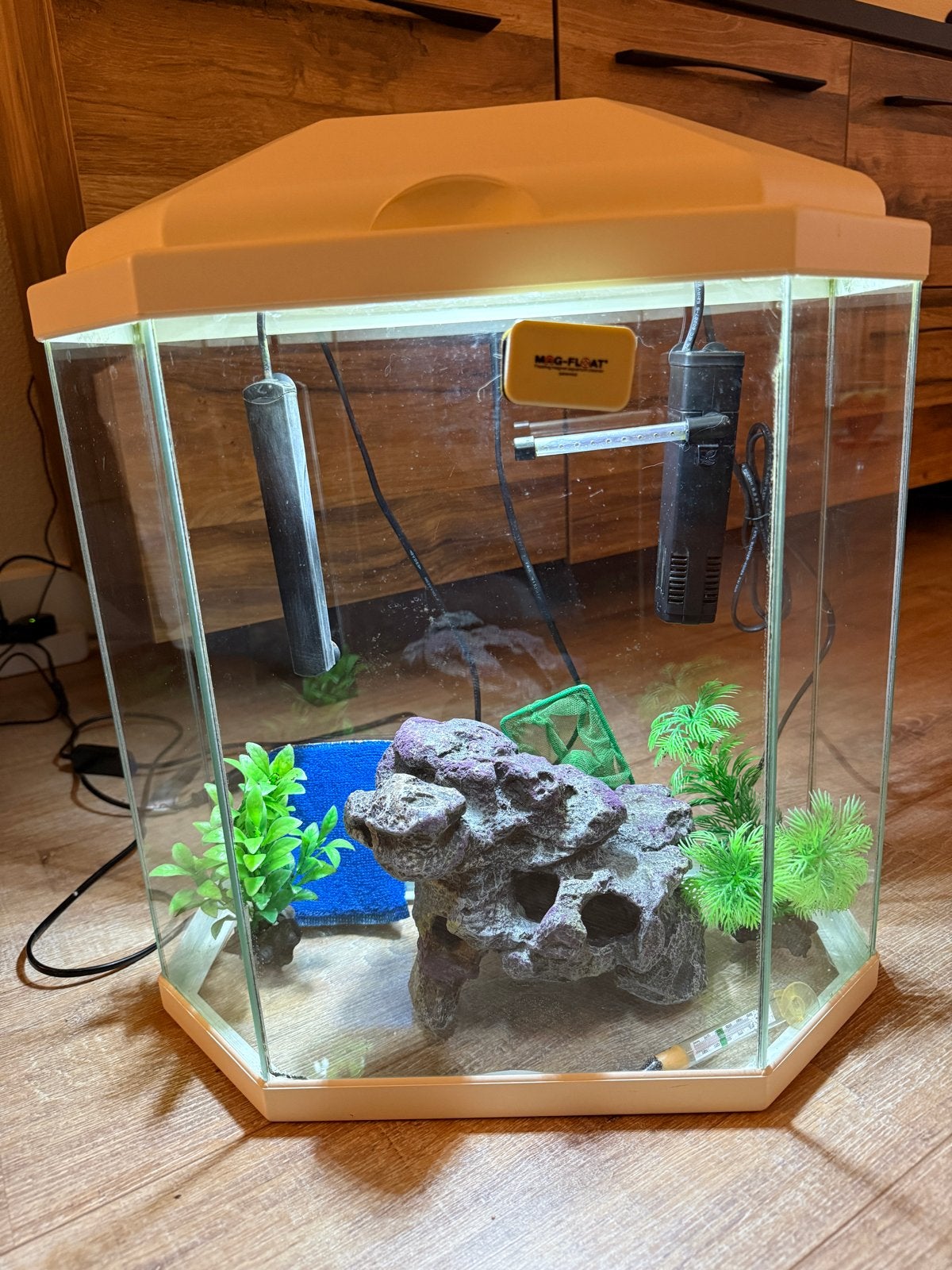 Compleet aquarium met pomp, verlichting, decoratie & voer, Ophalen, Gebruikt, Overige merken, Gevuld zoetwateraquarium