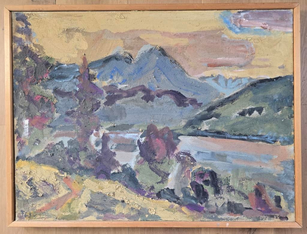 Groot schilderij P.C. Kuiper - Berglandschap Salzkammergut, Ophalen of Verzenden