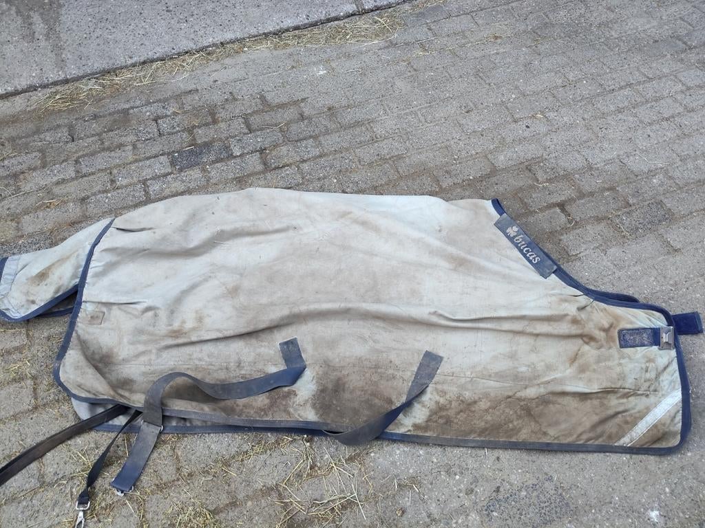 Bucas deken 170/125, Dieren en Toebehoren, Paarden en Pony's | Dekens en Dekjes, Ophalen of Verzenden