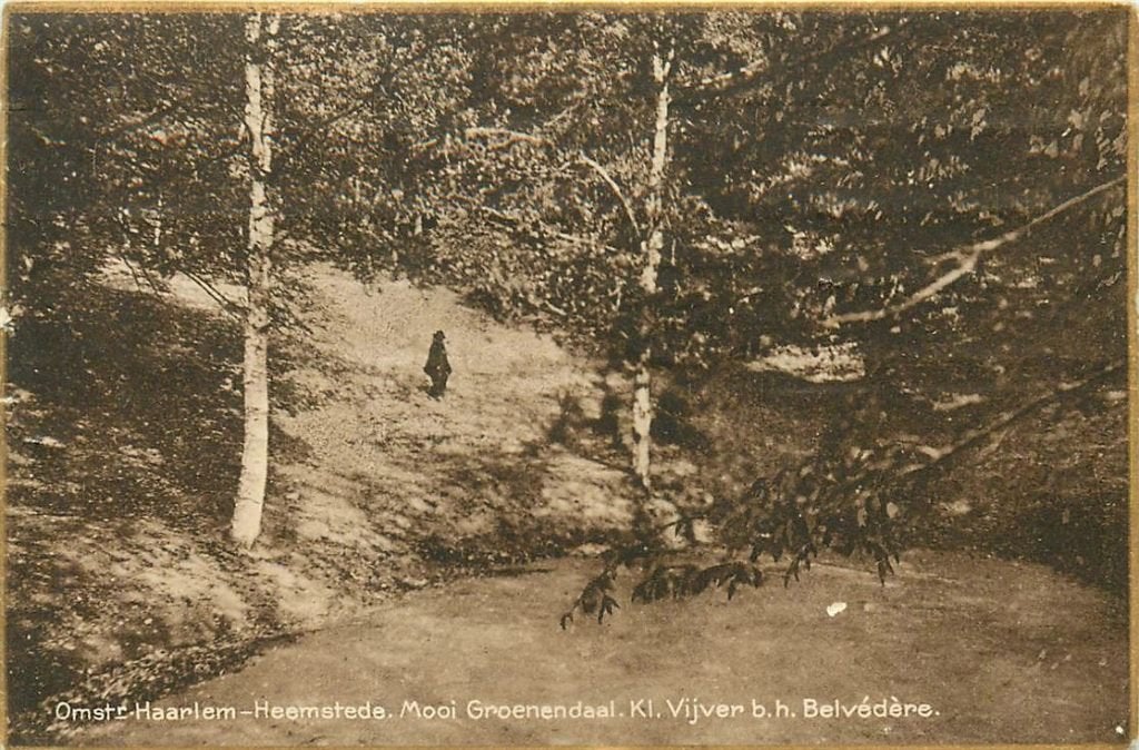 701-198-009 Heemstede Groenendaal, Verzenden, Voor 1920, Noord-Holland