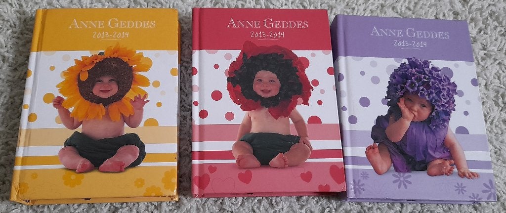 NIEUW ANNE GEDDES AGENDA 2013 - 2014, Boeken, Ophalen of Verzenden, Nieuw