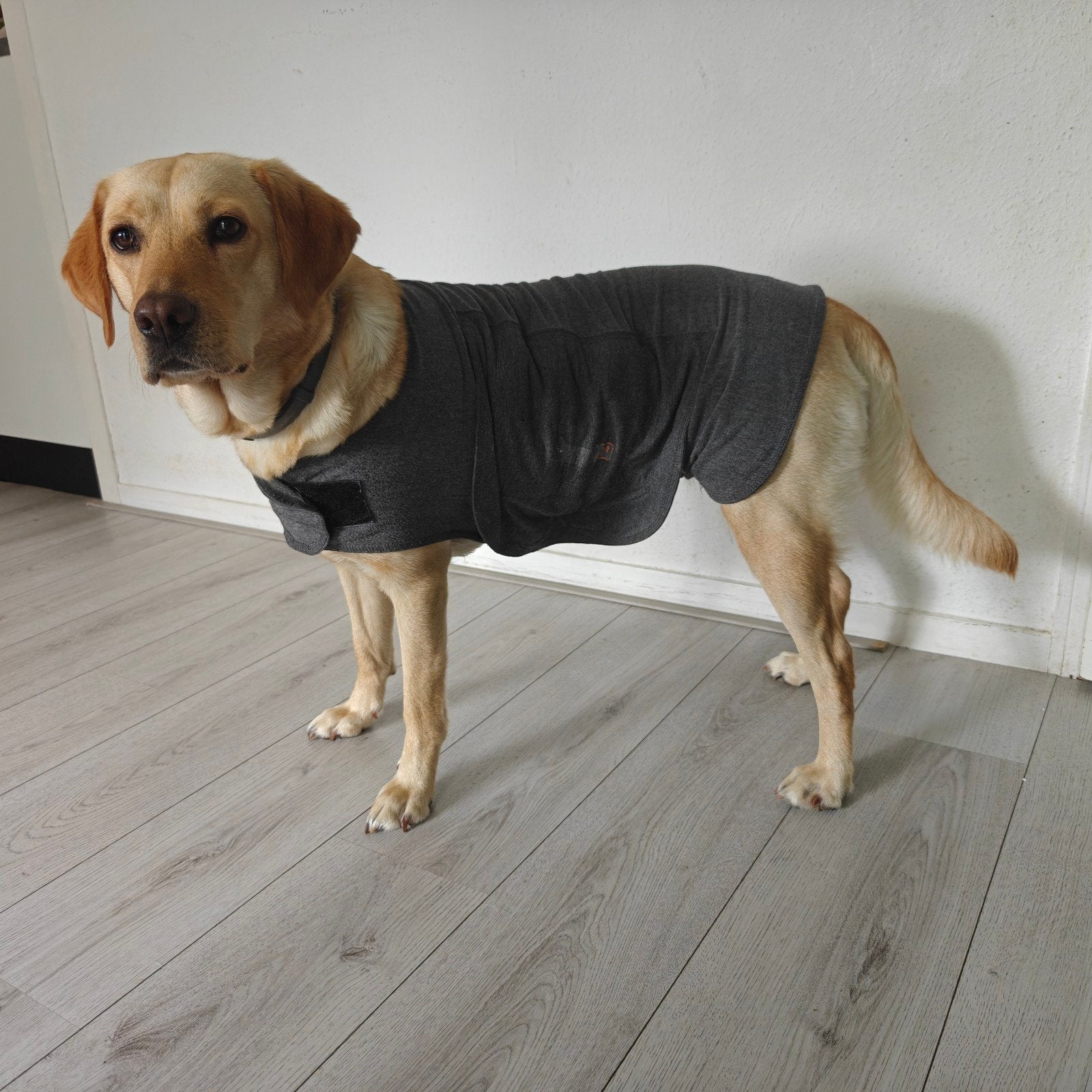 2x thundershirt hond maat xl, Dieren en Toebehoren, Hondenkleding, Ophalen of Verzenden, Zo goed als nieuw