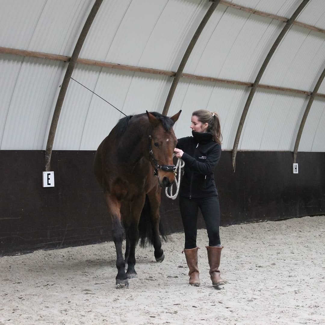 Instructrice aan huis aangeboden, Gedragstraining