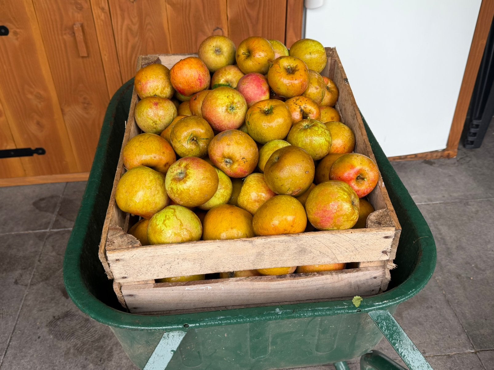 Onbespoten Goudreinetten uit de tuin, Diversen, Ophalen