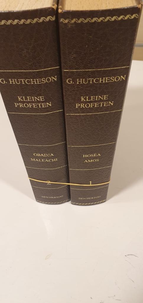 Mr. G.Hutchesom. Verklaring van de 12 kleine profeten, Ophalen of Verzenden, Gelezen, Christendom | Protestants