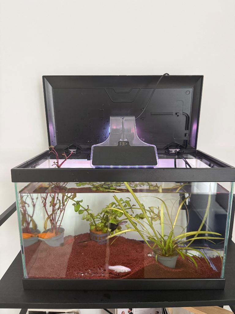 Aquarium met toebehoren, Ophalen, Zo goed als nieuw, Leeg aquarium