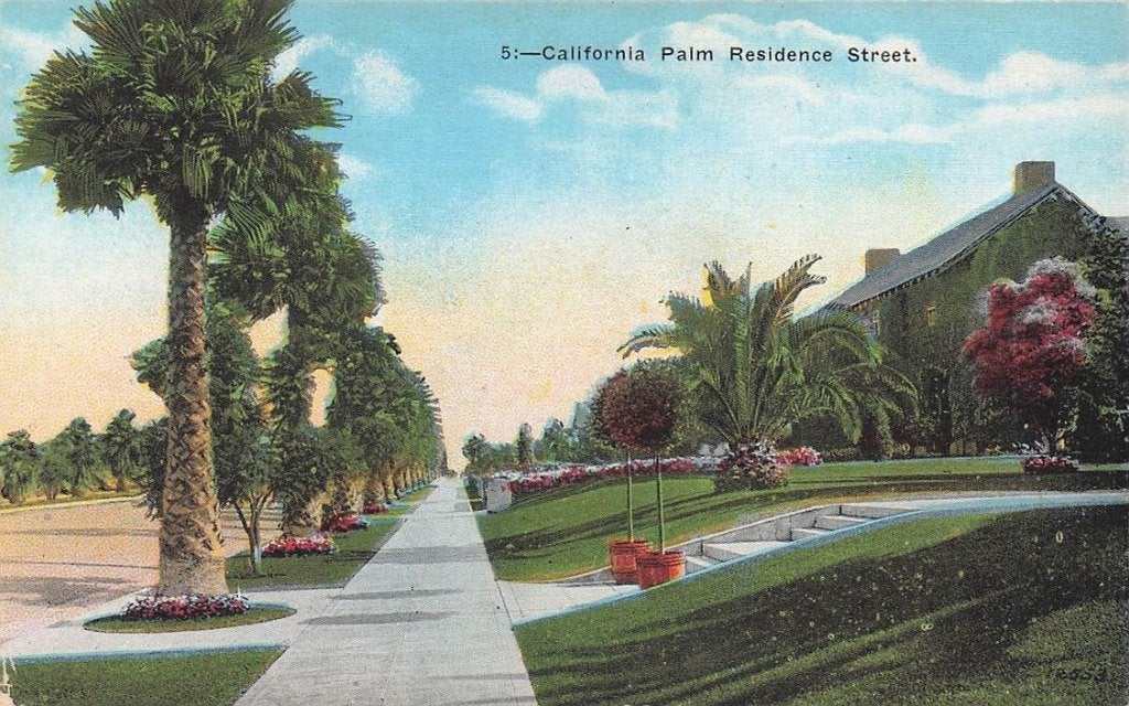 703-260-047 California Palm Residence Street, Ophalen of Verzenden, Voor 1920, Buiten Europa