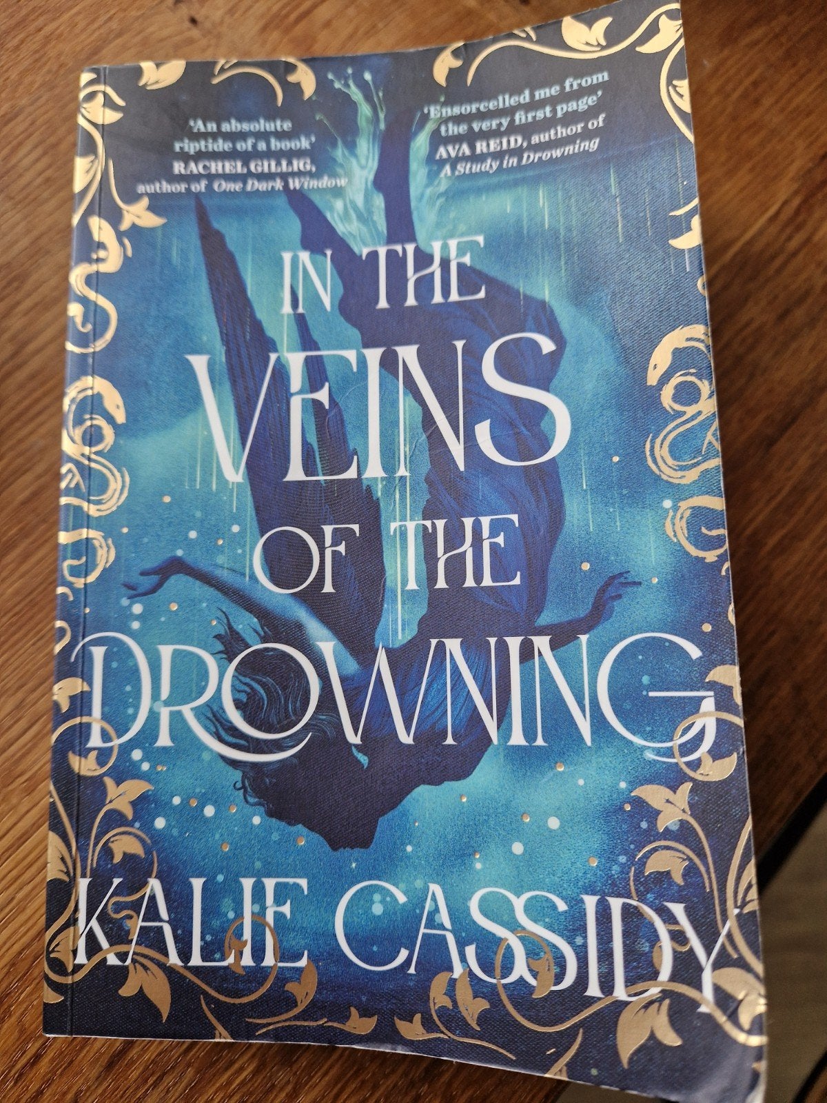 In the Veins of the Drowning - Kalie Cassidy (Fantasy), Ophalen of Verzenden, Gelezen, Kalie Cassidy, Wereld overig
