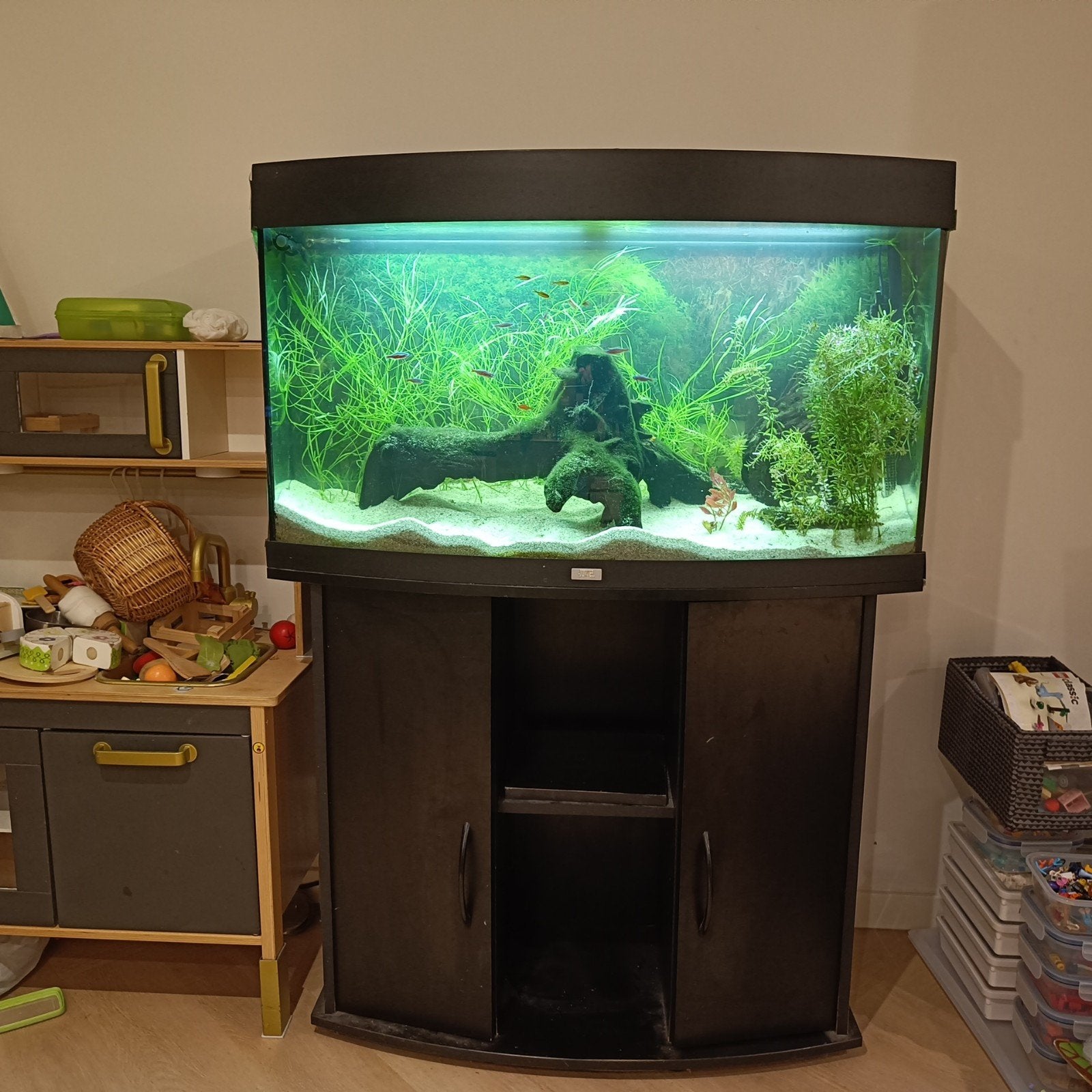 Juwel 180 Vision aquarium - zeer compleet, Ophalen, Inclusief vissen, Gevuld zoetwateraquarium, Juwel
