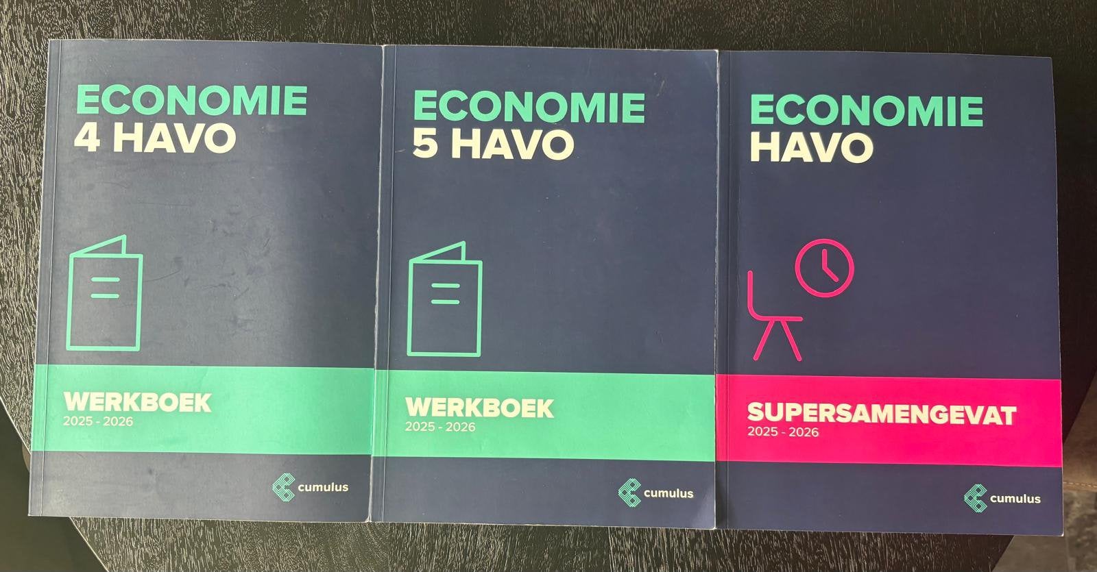 VAVO/Havo 5 Economie, Ophalen of Verzenden, Zo goed als nieuw, Overige uitgevers, Nederlands