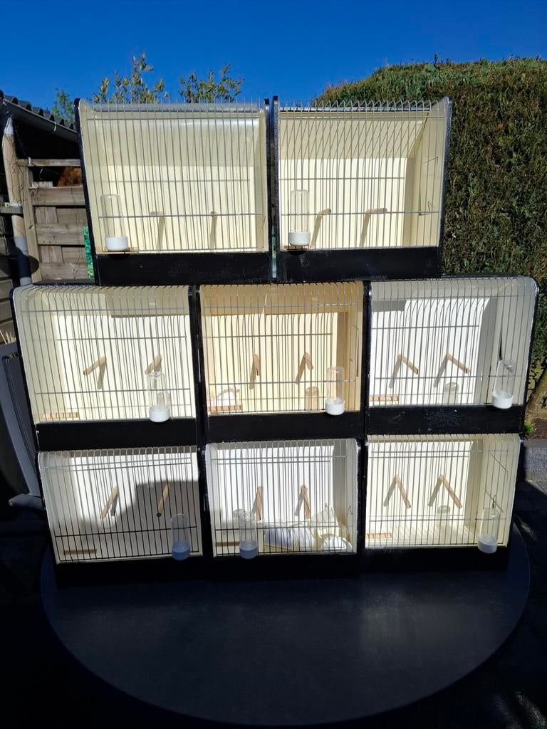 8 nieuwe tt kooitjes +waterflesjes +voerbakjes, Dieren en Toebehoren, Vogels | Hokken en Kooien, Ophalen of Verzenden, Nieuw, Hout