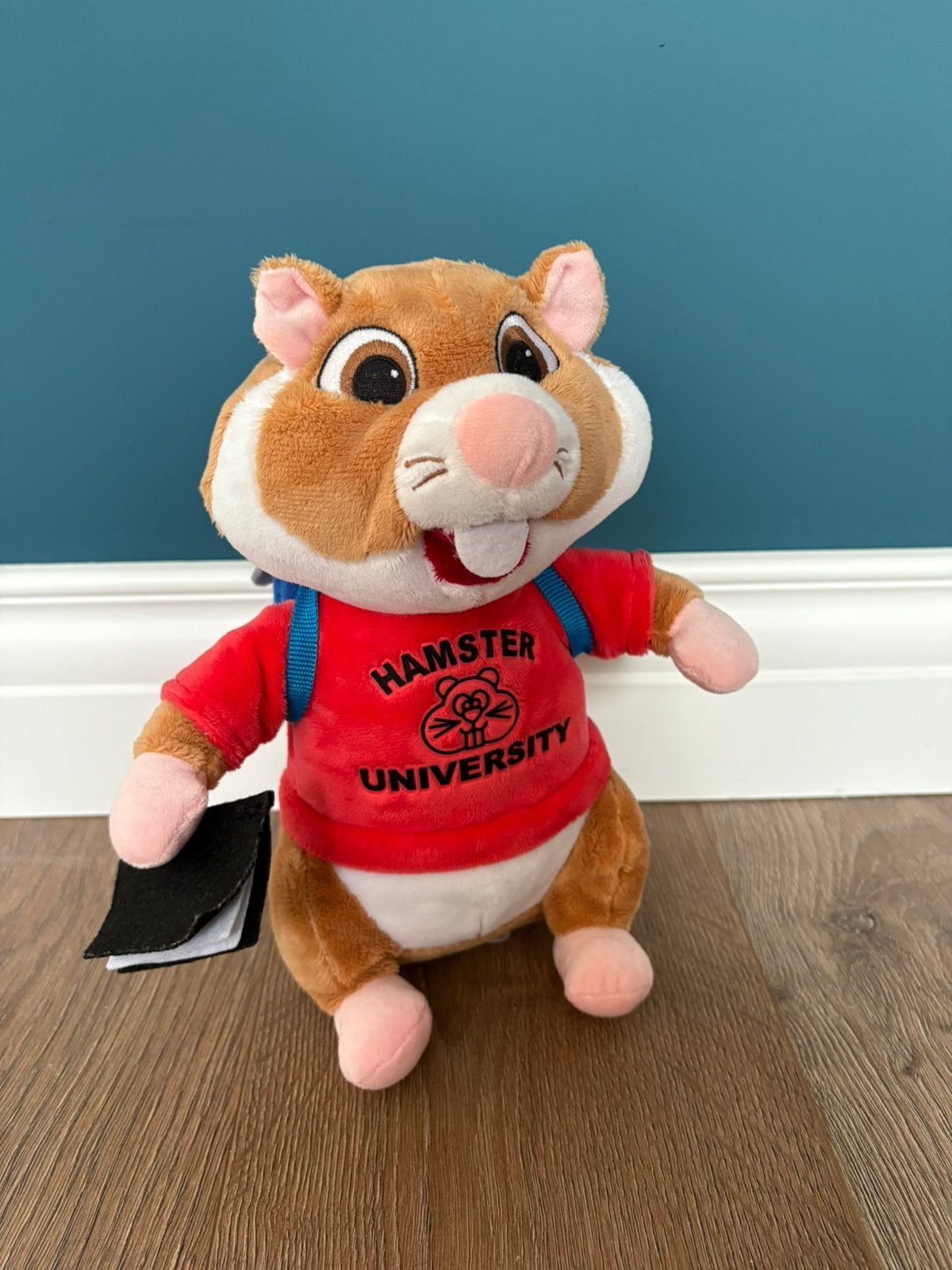 Hamster AH geslaagd Hamster university!, Ophalen of Verzenden, Zo goed als nieuw, Overige typen